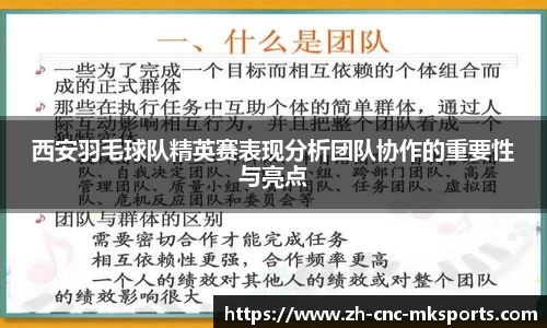 西安羽毛球队精英赛表现分析团队协作的重要性与亮点
